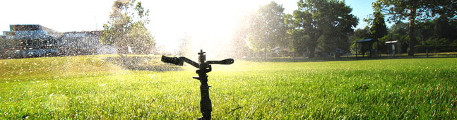 let our professional team show you how you can save water